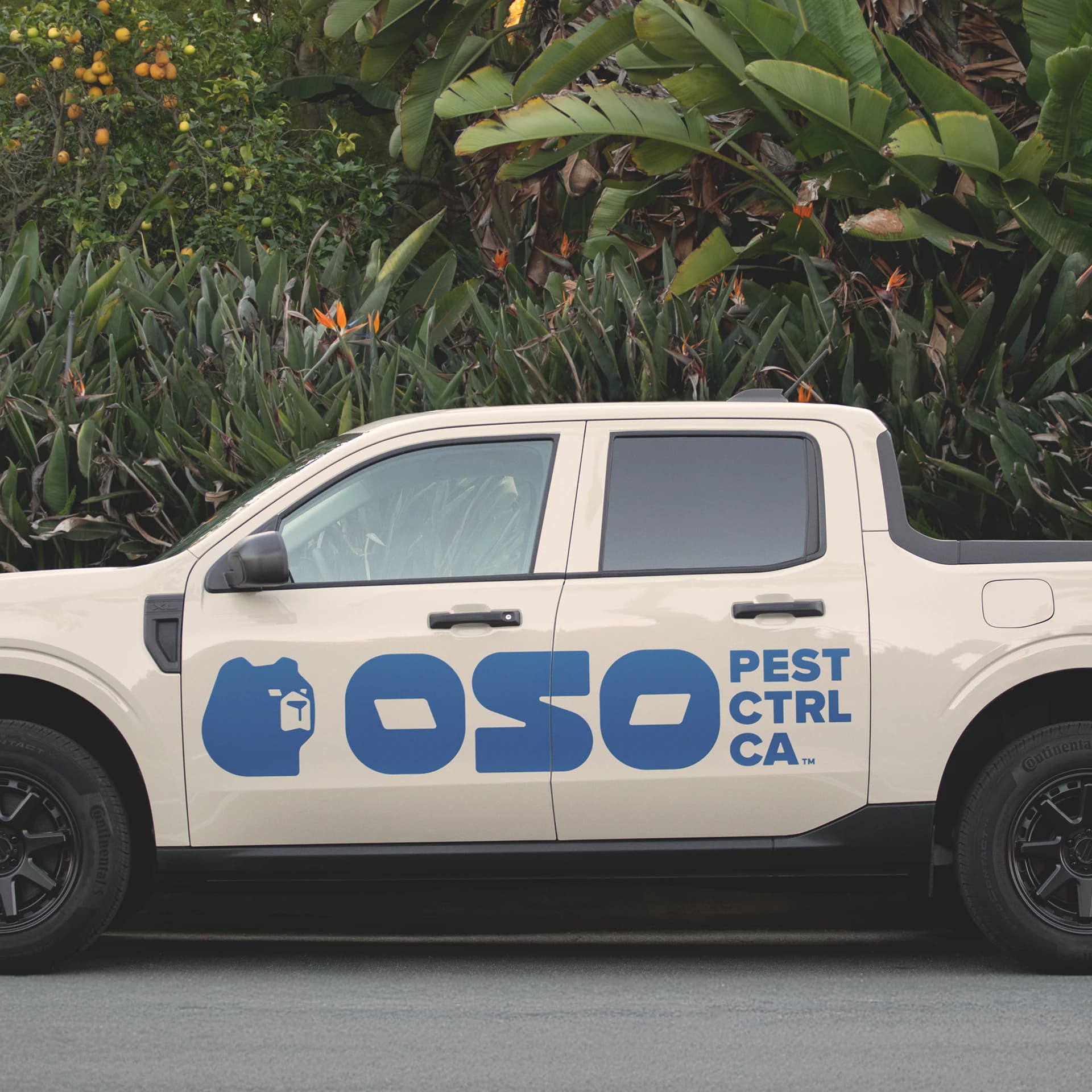A cream pickup truck parked in front of tropical planting, the Oso bear and "Pest Ctrl CA" wordmark along its side.